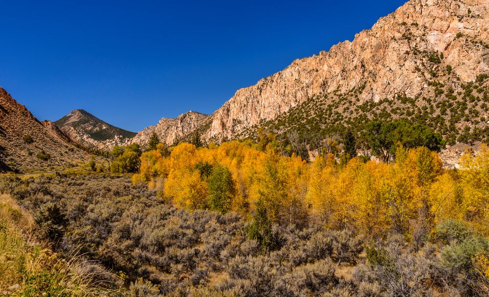 Navajo Cliffs, Flaming Gorge, Utah, USA