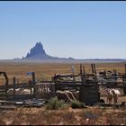 Navajo Gehöft mit Shiprock