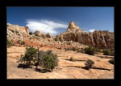 Navajo Knobs