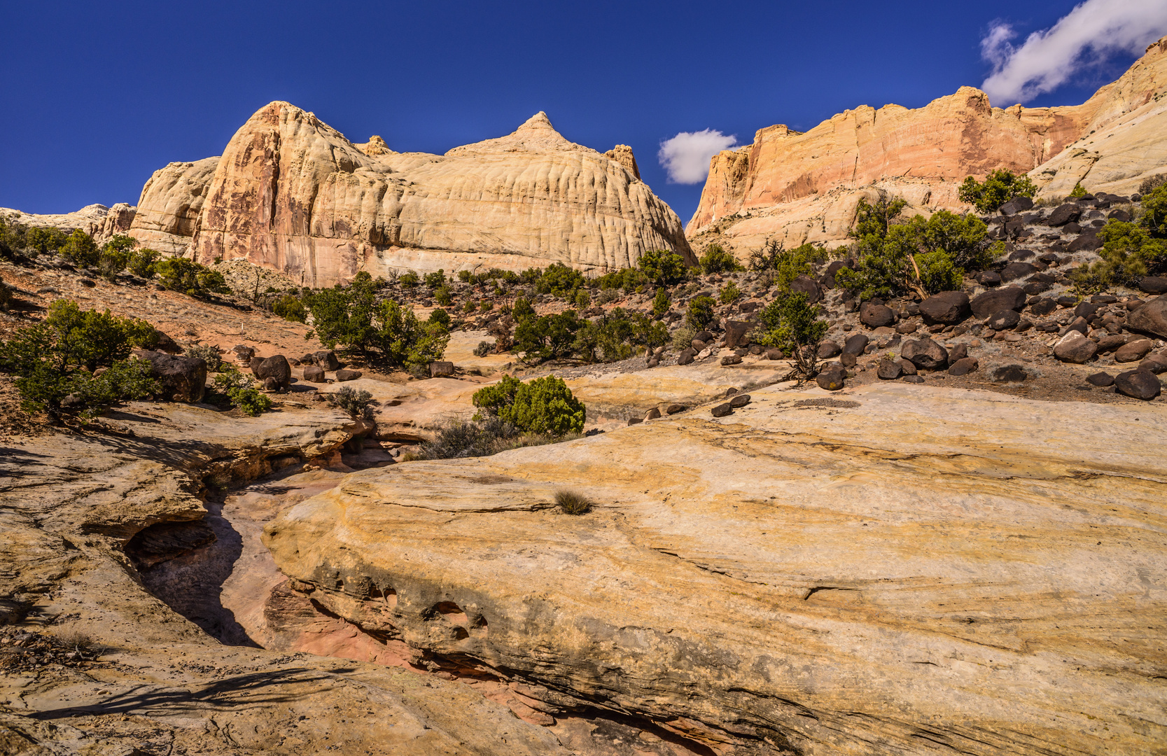 Navajo Knobs Trail, Capitol Reef NP, Utah, USA