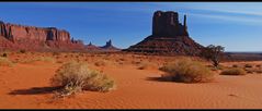 Navajo Land