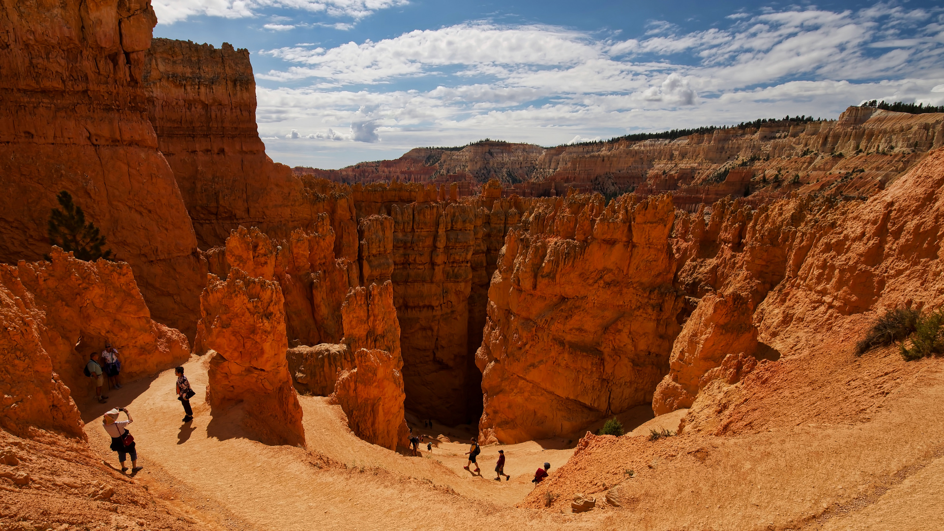 Navajo Loop