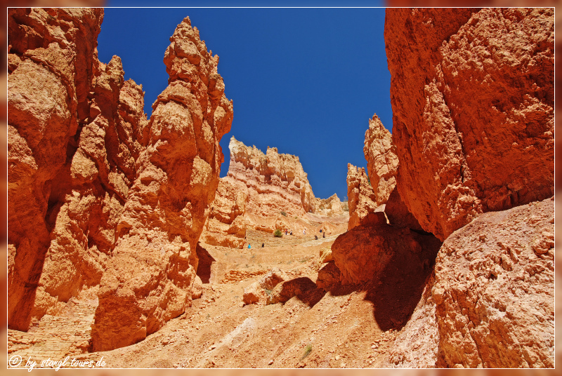 Navajo Loop Trail...