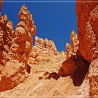 Navajo Loop Trail...