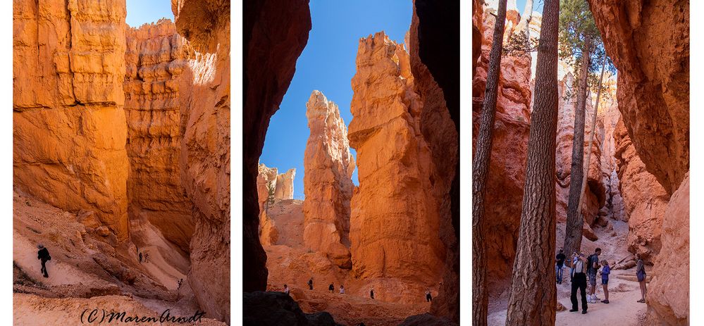 Navajo Loop Trail