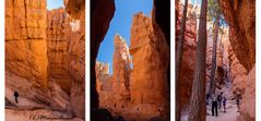 Navajo Loop Trail