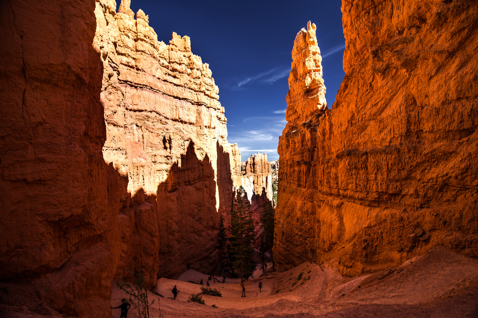 Navajo Loop Trail