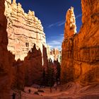 Navajo Loop Trail