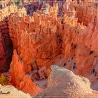 Navajo Loop Trail