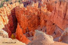 Navajo Loop Trail