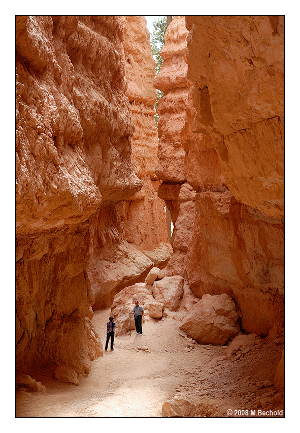 Navajo Loop Trail