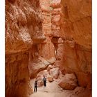 Navajo Loop Trail