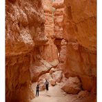 Navajo Loop Trail