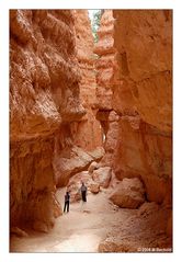 Navajo Loop Trail