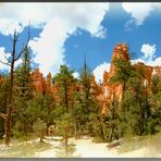 Navajo Loop Trail