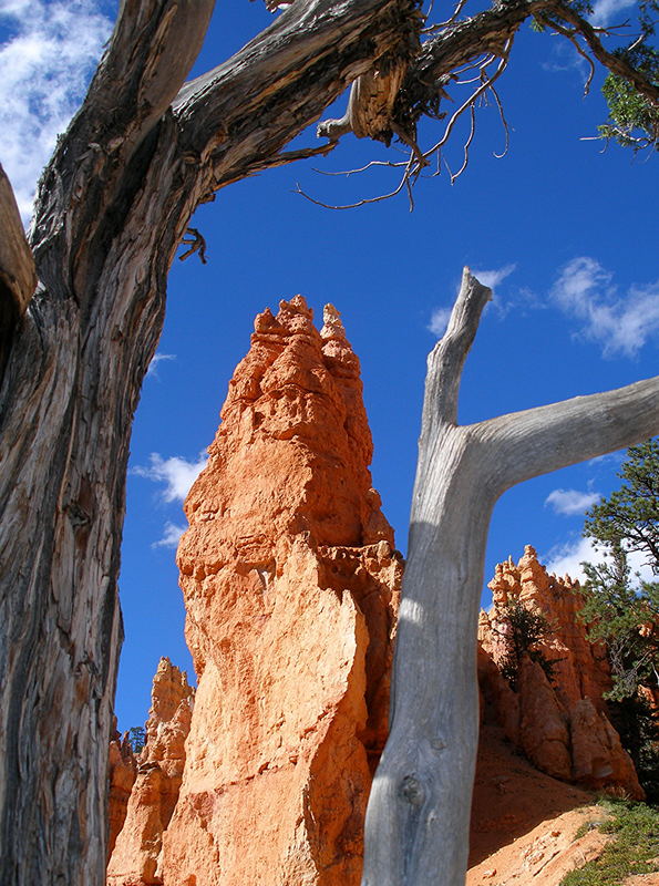 Navajo Loop Wilderness