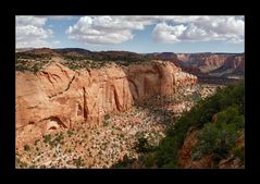 [ Navajo National Monument ]