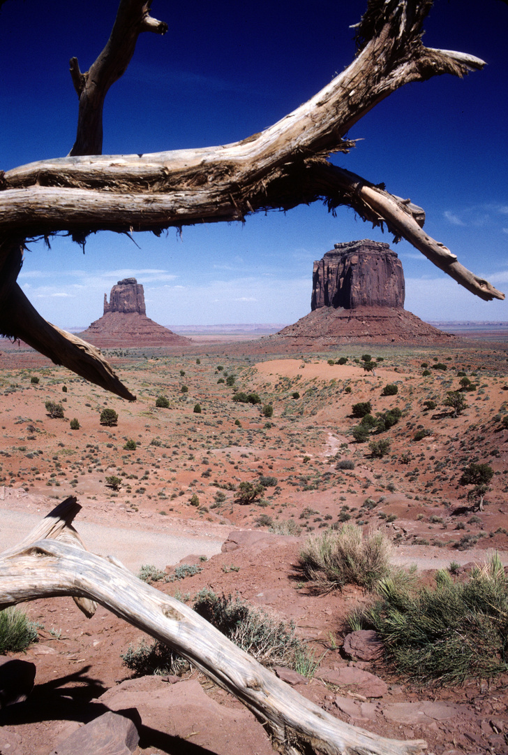 Navajo Reservation Monument Valley,UT