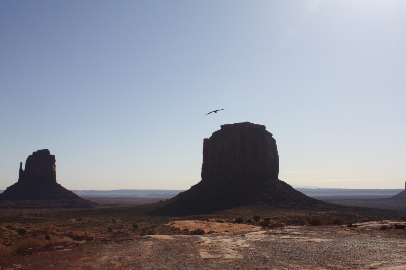 Navajo Spirit