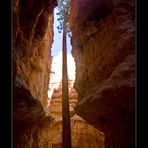 Navajo Trail