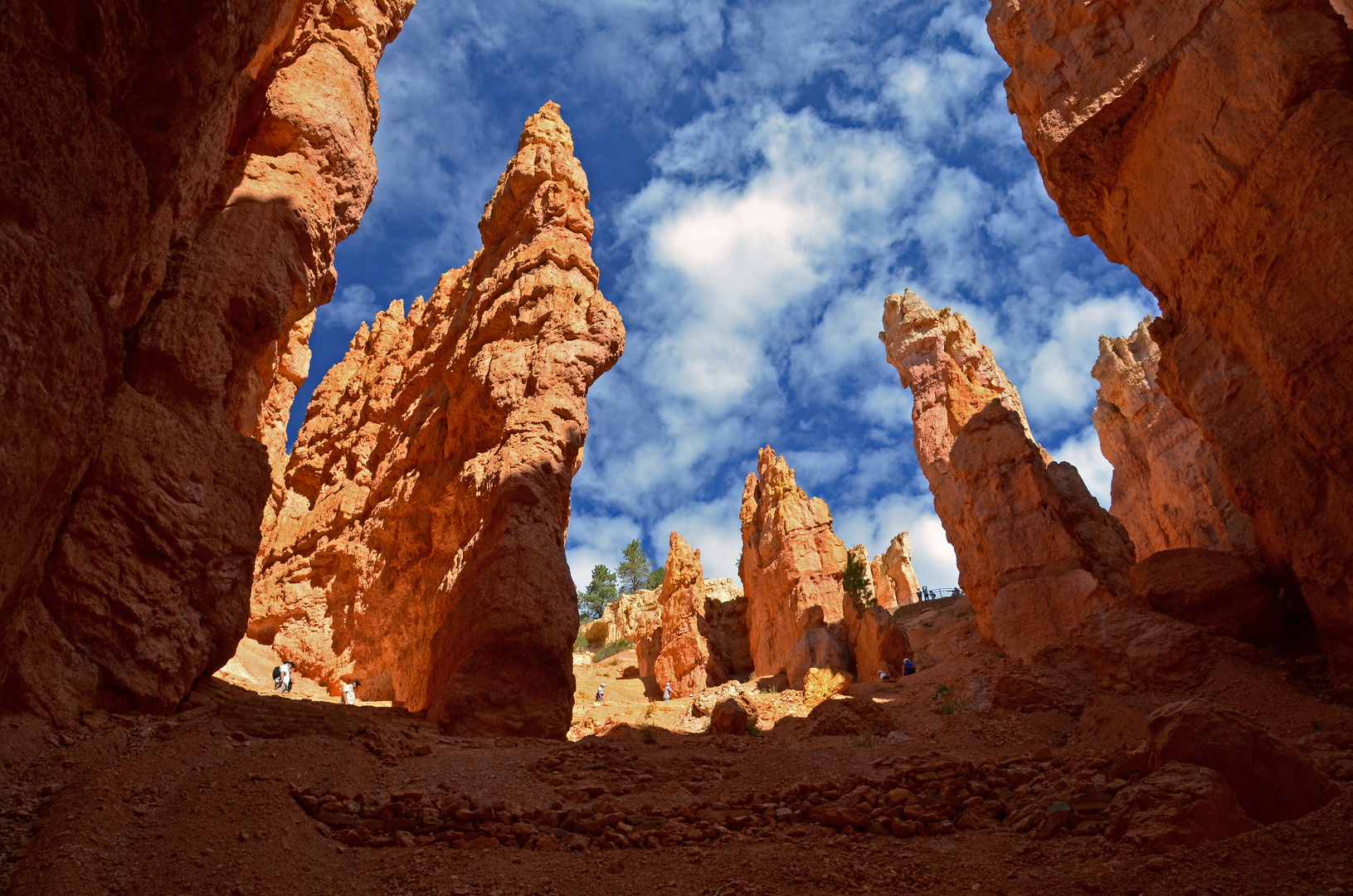 Navajo Trail