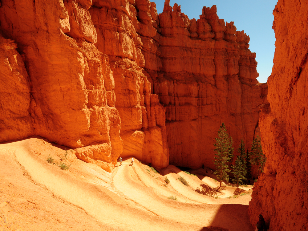 Navajo Trail at Bryce around noon