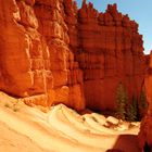 Navajo Trail at Bryce around noon