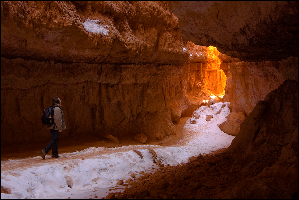 Navajo Trail I