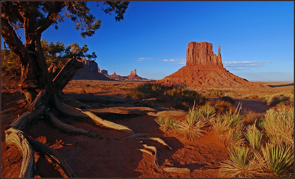 Navajo Tribal Park Foto & Bild | north america, united states, national