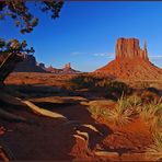 Navajo Tribal Park