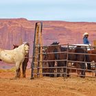 Navajos mit Pferden im Monument Valley