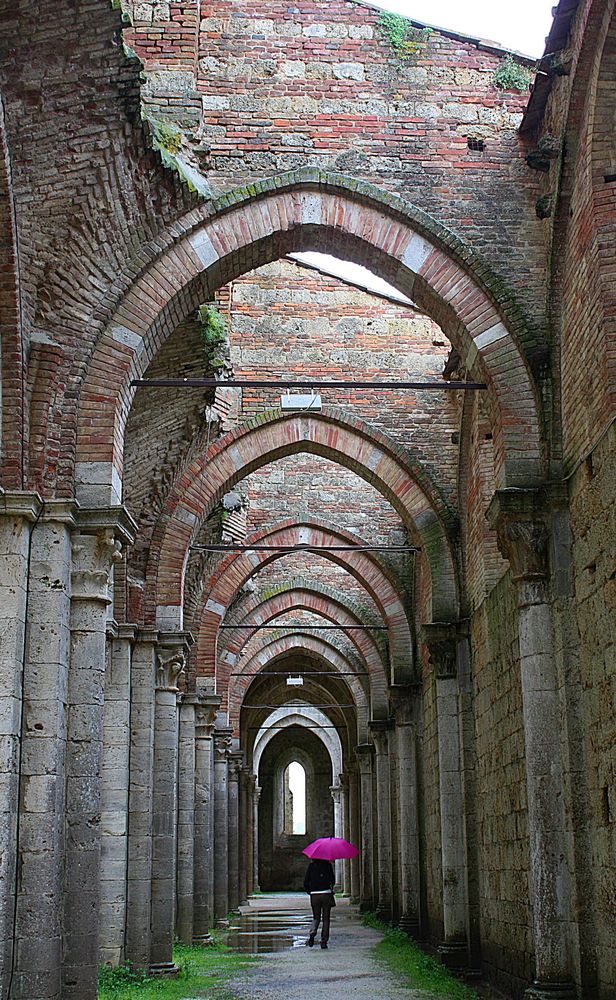 Navata Abbazia di S.Galgano