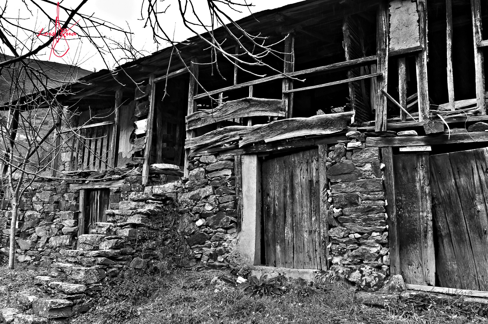 Navea -Terras de Trivés - Ourense