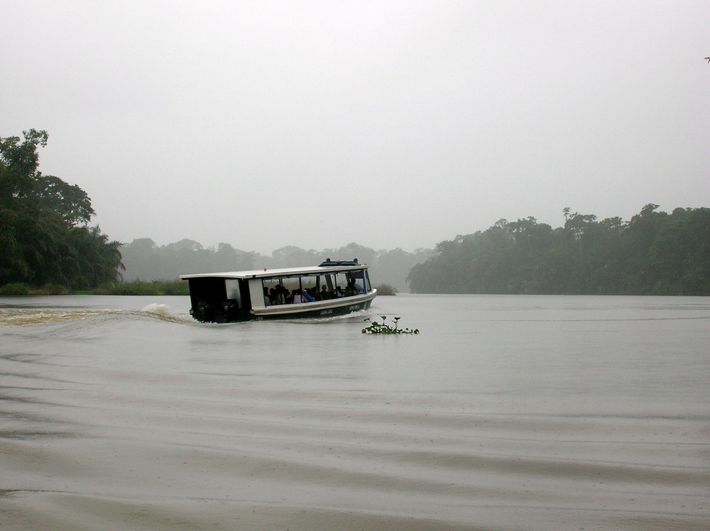 navegando bajo la lluvia