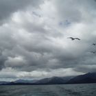 Navegando por el Lago Nahuel Huapi. Río Negro. Argentina
