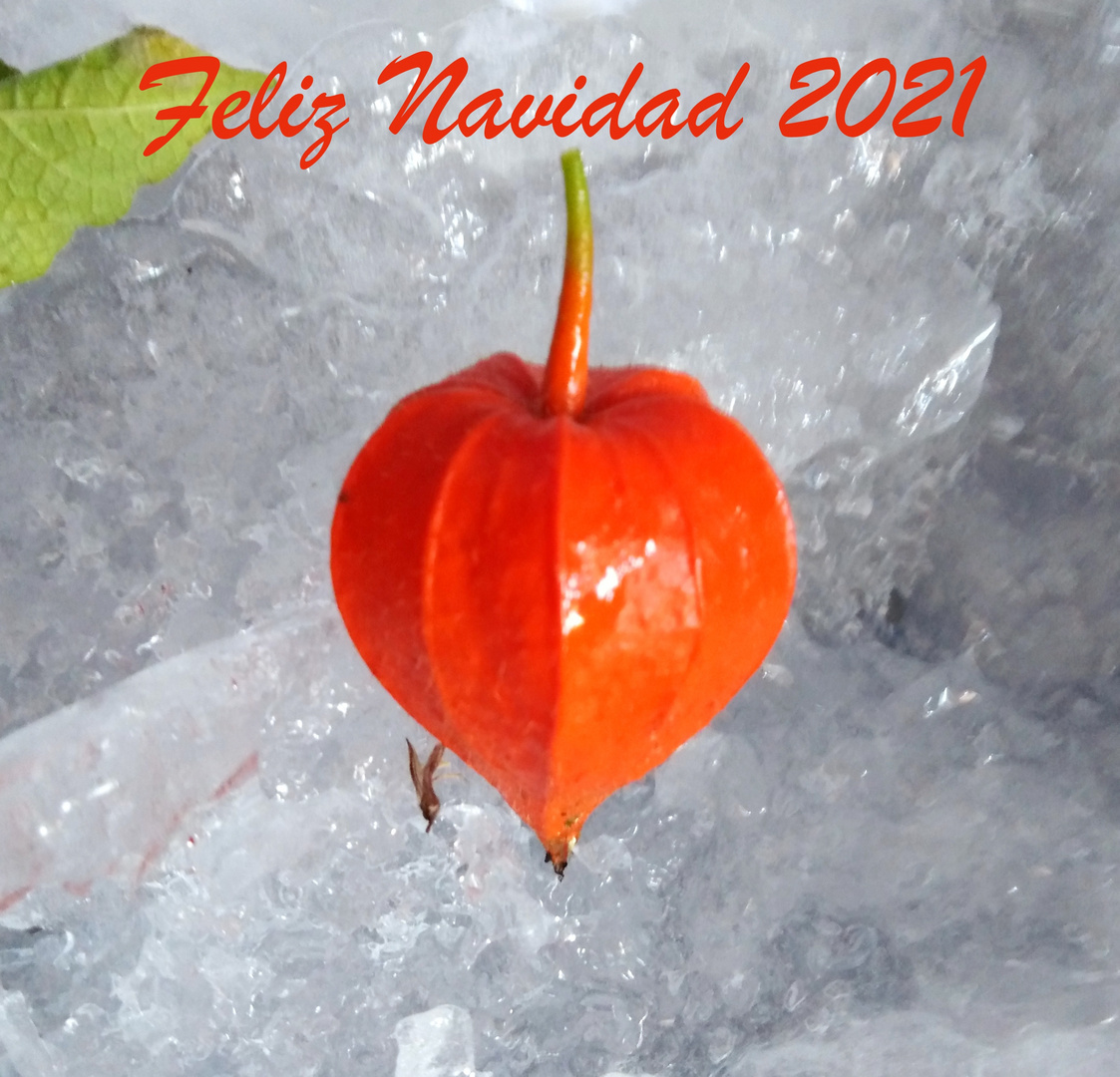 Navidad 2021