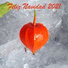 Navidad 2021