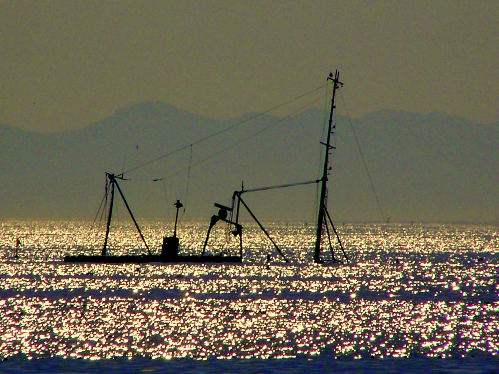 NAVIDAD EN ALTA MAR