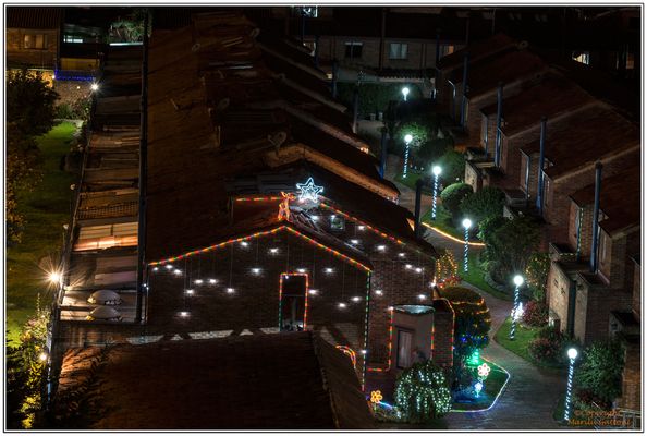 NAVIDAD, NAVIDAD, LINDA NAVIDAD