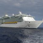 Navigator of the Seas