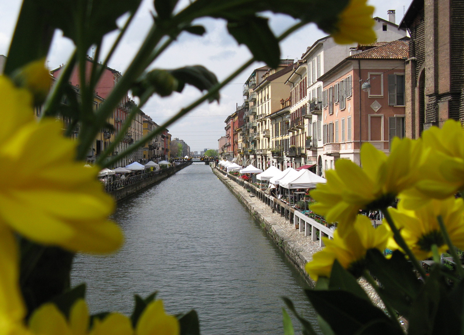 Navigli in fiore