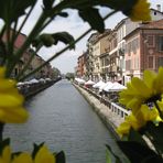 Navigli in fiore