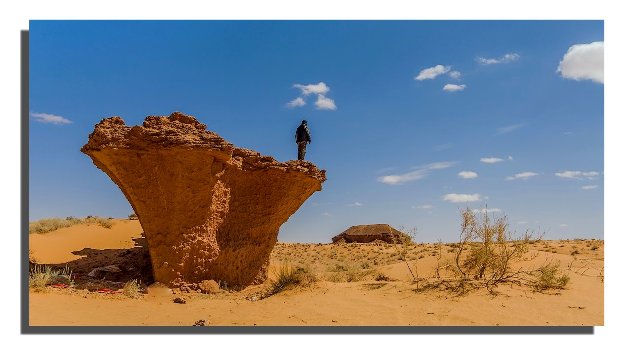 Navire des sables