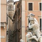 Navona 3