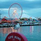 NAVY PIER Chicago