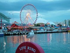 NAVY PIER Chicago