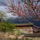 Naxi Family Guesthouse