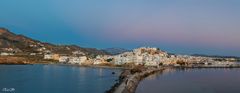 NAXOS PANORAMA