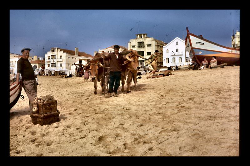 Nazaré 1970...avant les tracteurs