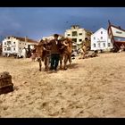 Nazaré 1970...avant les tracteurs